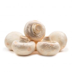 CATEGORIA CHAMPI&Ntilde;ONES HORTAMED