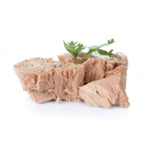 CATEGORIA CONSERVAS DE PESCADO HORTAMED